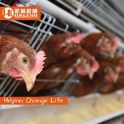 Battery Chicken Cage Egg Layer Chicken Cage Poultry Farm a Type Cage for Sale