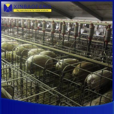 Pig Farm Equipment Pig Stall Pen System Sow Gestation Farrowing Crate Stall