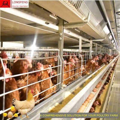 Longfeng Local After-Sale Service in Asia Poultry Farm Equipment Egg Laying Cage