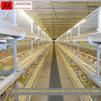 Manure Belt Removing Incubator Broiler Chicken Cage with Top Wire Mesh