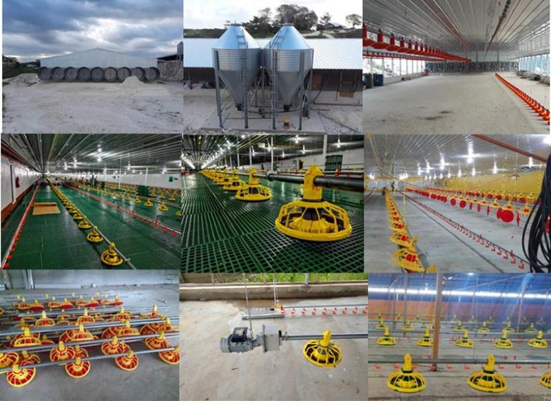 Prefab Poultry Closed House System with Full Set Automatic Broiler Chicken