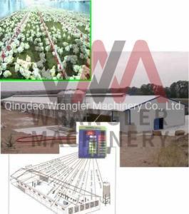 Automatic Control of Poultry Farms/Automatic Chicken Farm Equipment