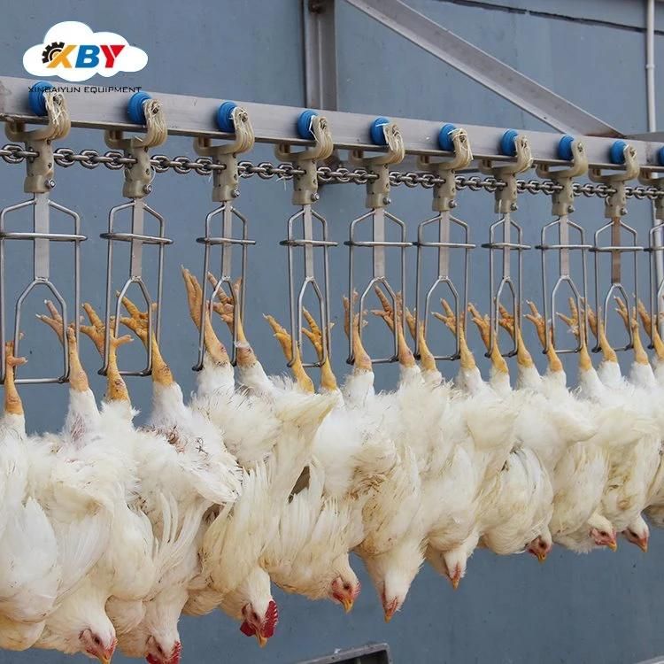 Poultry Slaughter Line Equipment in Chicken Slaughterhouse