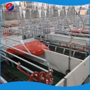 High Process Pig Farrowing Crate Made in China