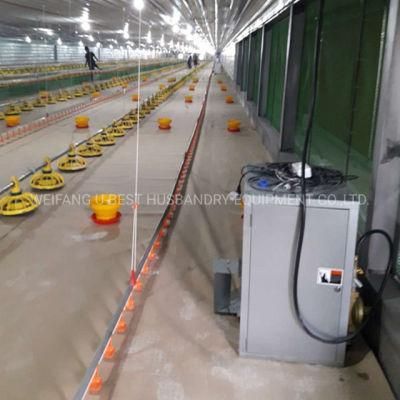 Commercial Poultry Farm Equipment Automatic Chicken Broiler Equipment