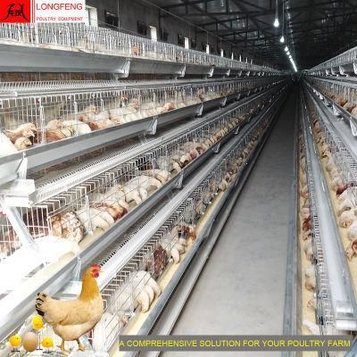 15-20years Local After-Sale Service in Asia Poultry Farm Layer Cages Egg Laying Cage
