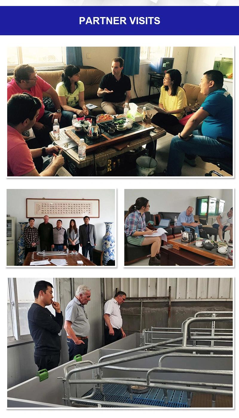 Factory Direct Selling Pig Feeding Equipment Farrowing Pen Farrowing Pen for Sow Farrowing