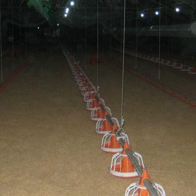 Good Price Autonmatic Pan Feeding Line System