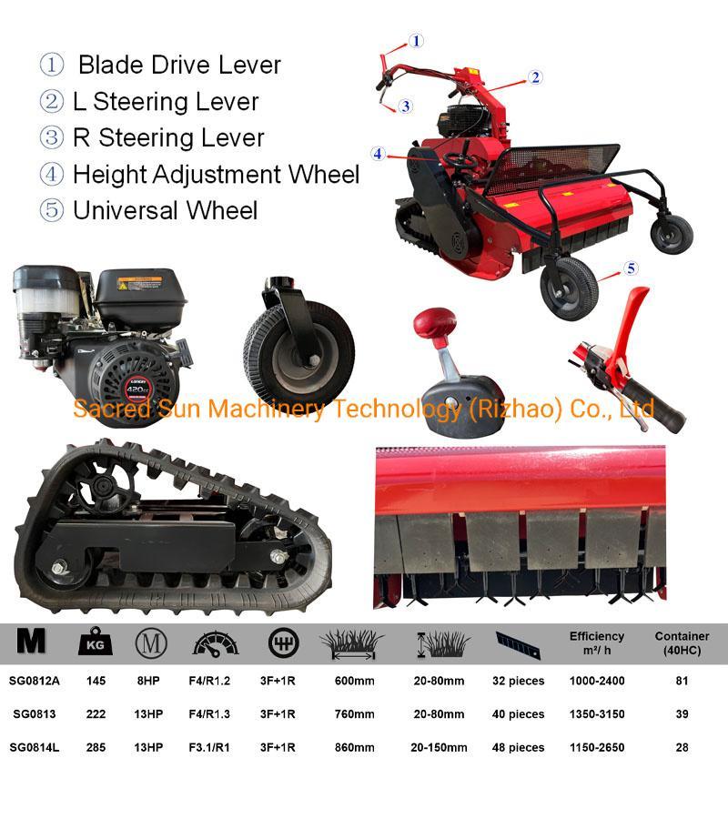 Gasoline Petrol Grass Cutting Lawn Mower Flail Mower