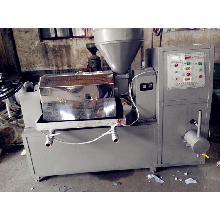 Cold&Hot Press Edible Cooking Sunflower Oil Extracting Machine Soybean Oil Presser with Oil Filter