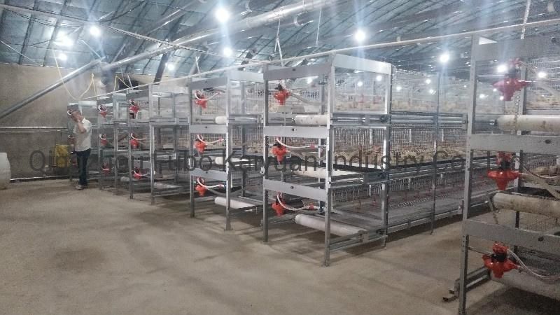 Automatic Battery Commercial Poultry Farm Equip Cage for Broiler/Layer/Egg Chicken