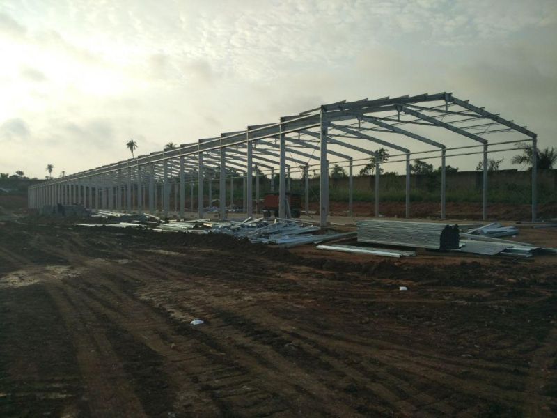 Ghana 5 Layers of Egg Hens Layer Chicken Farm Steel Structure Shed Houses Coop