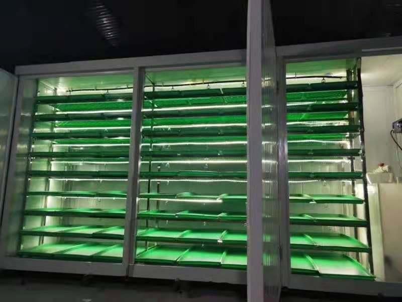 150kg/d Hydroponic Grow Systems For Planting Barley,Wheat,Corn