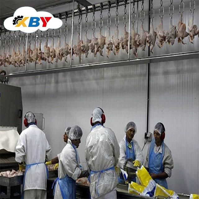 Chicken Processing Plant and Slaughterhouse Equipped by The Automatic Chicken Slaughtering Machine
