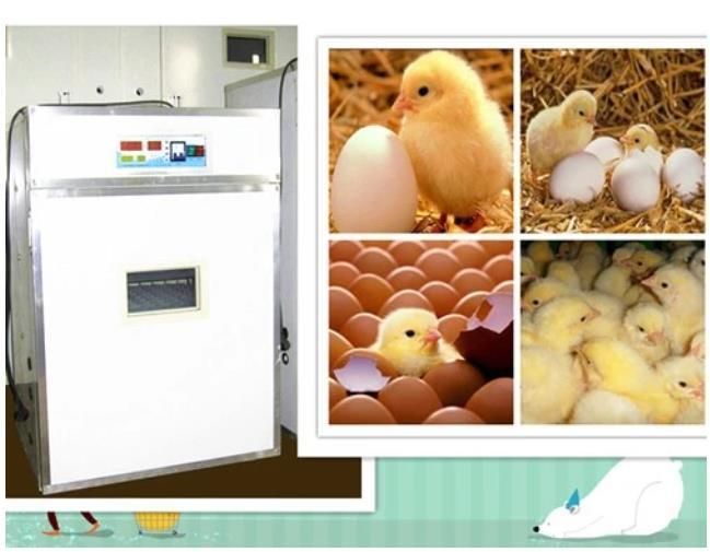 Small/Large Size Automatic Industrial Digital Poultry Chicken/Duck Egg Incubator