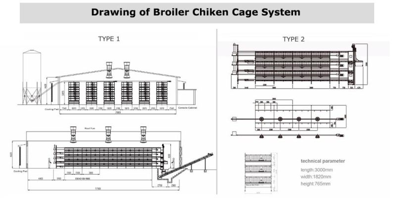 Chicken Farm Broiler Farming Equipment Water Nipple Drinking System