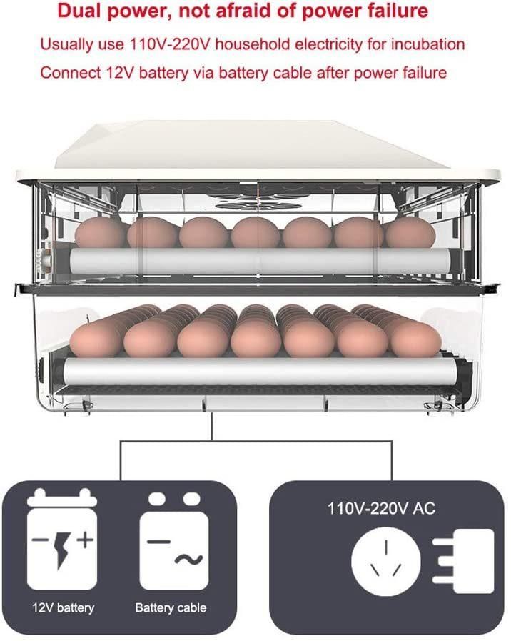 CE Automatic Hatching Quail Egg Incubator