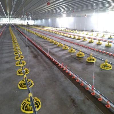 Chicken Feeding System and Poultry Feed Line System in Malaysia