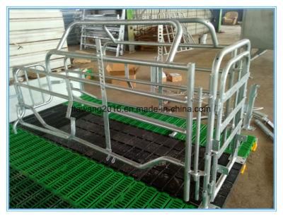 Strong Galvanized Pig Fattening Crate Pig Equipment