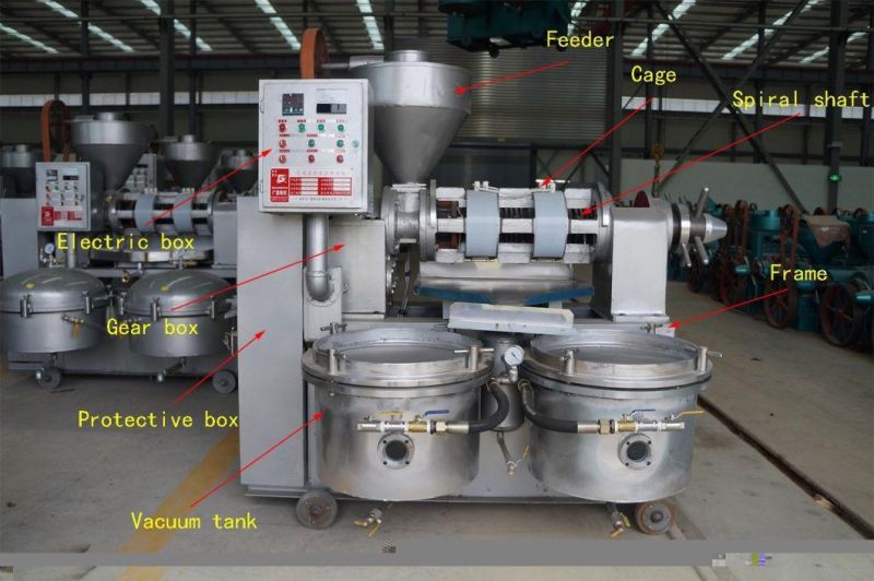 4.5tpd Peanut Soybean Screw Oil Extraction Machine Canola Sesame Oil Press Machine Cotton Seed Palm Kernel Oil Pressing Machine