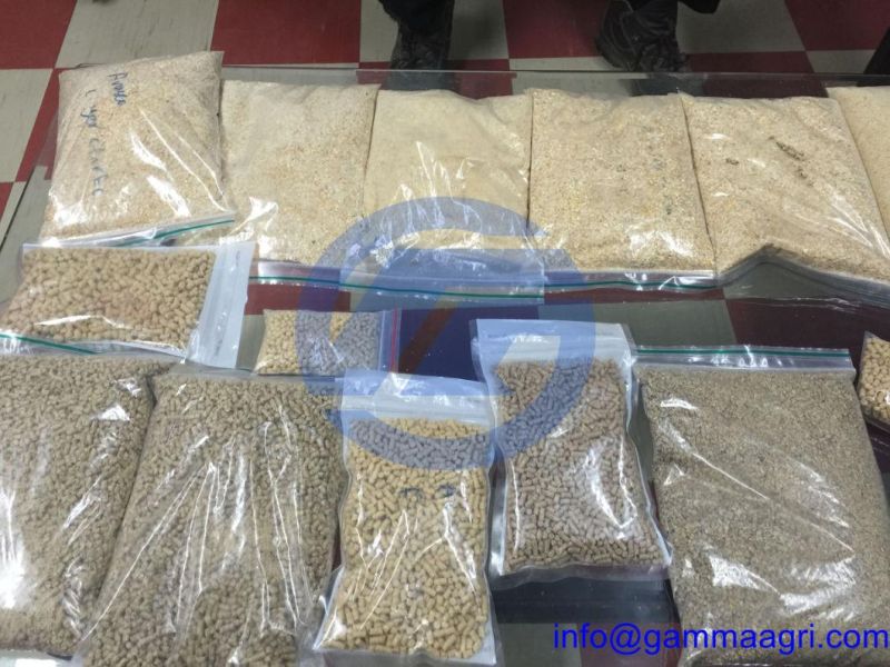 Fully Automatic Computerized 1-5tph Animal Feed Pellet Machine for Poultry Chicken Fish Pig Pet Cattle Sheep Including Pelletizing Machine, Hammer Mill