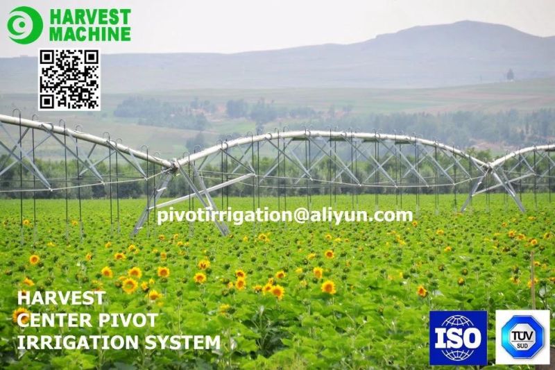 Big Farm Low Cost Price Free Design Center Pivot Irrigation System