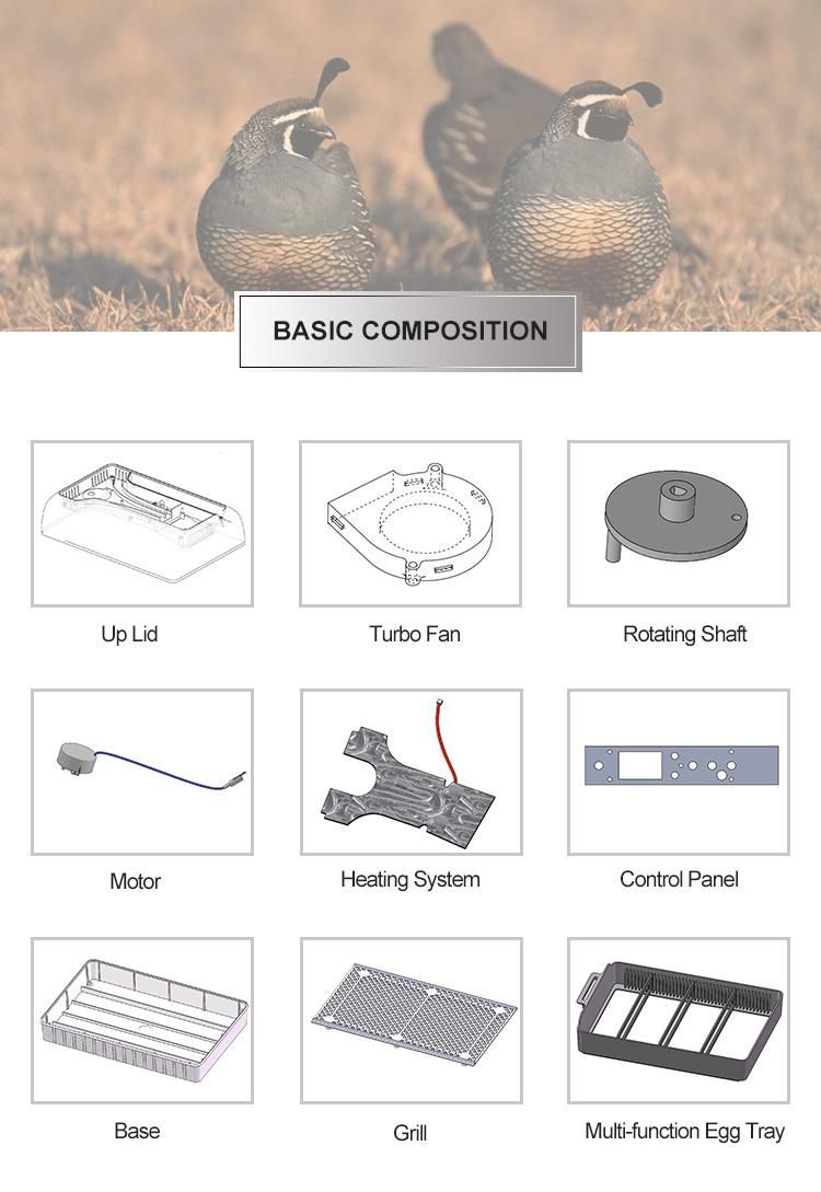 2019 Newest Full Automatic Mini Chicken 12 Egg Incubator (YZ9-12)