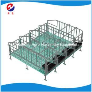 Sow Gestation Crate Nwith Hot Dipped Galvanized Treatment/ Farrowing Crate/ Nursery Fattening Room