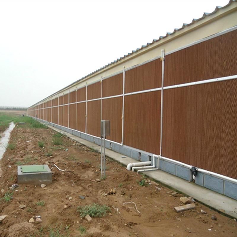 Good Quality Greenhouse / Poultry Farm Air Cooler Evaporative Cooling Pad for Chicken House