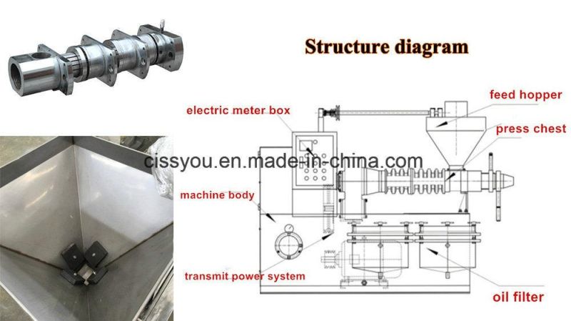 Hydraulic Peanut Sesame Soybean Seeds Oil Press Processing Machine (WS6YL)