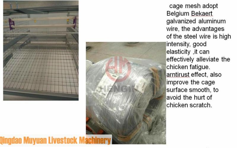 Automatic Hot-Galvanized Multi-Tier H Frame Battery Poultry Farm/Farming Equipment for Chicken Layer Hen Cage