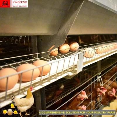 Mature Design, Durable and Sturdy Farming Farm Chicken Cage Poultry Equipment