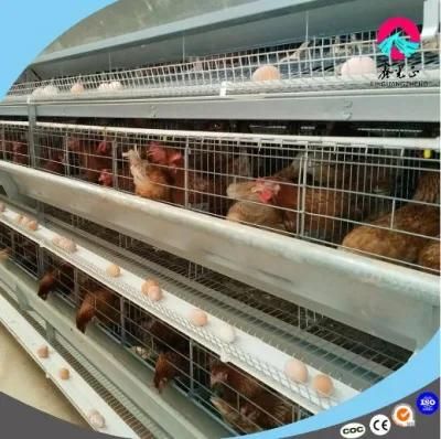 Best Design Low Cost and High Quality Chicken House and Equipment/H-Type Layer Brolier Chicken Equipment