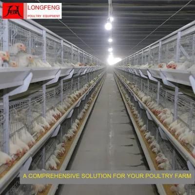 Manure Belt Removing Poultry Farm Layer Cages Broiler Chicken Cage