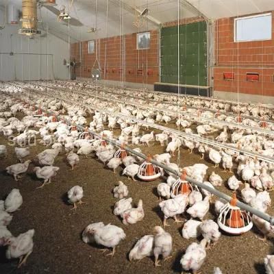 Automatic Control Broiler Shed Chicken Poultry Farm with Feeder and Drinker