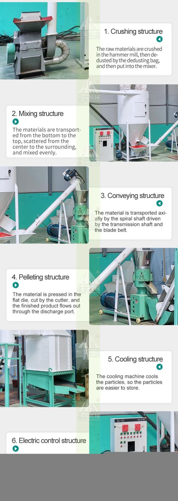 Flat Die Poultry Animal Feed Pellet Machine Line