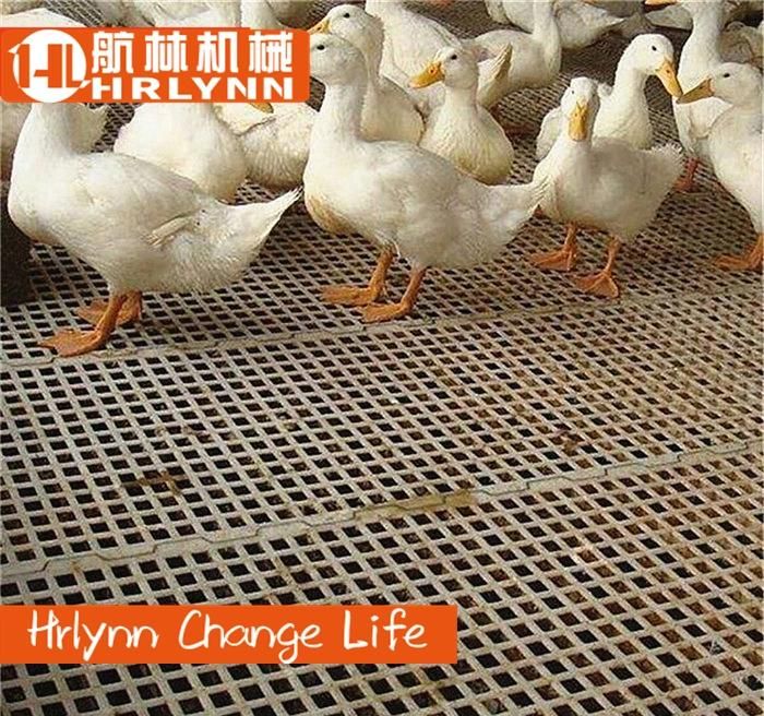 Automatic Poultry Farm Equipment Broiler Feeding System Chicken Feeders