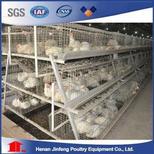 Poultry Farming Hot Sale Chicken Layer Battery Cage for Farm