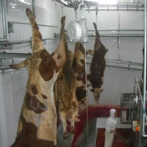 Cattle Slaughtering Equipment Lift Hoist