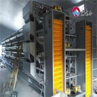 Full Set Automatic/ High Quality Broiler Equipment