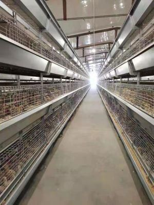 Poultry Farm Equipment Battery Cage for Philippine Customers