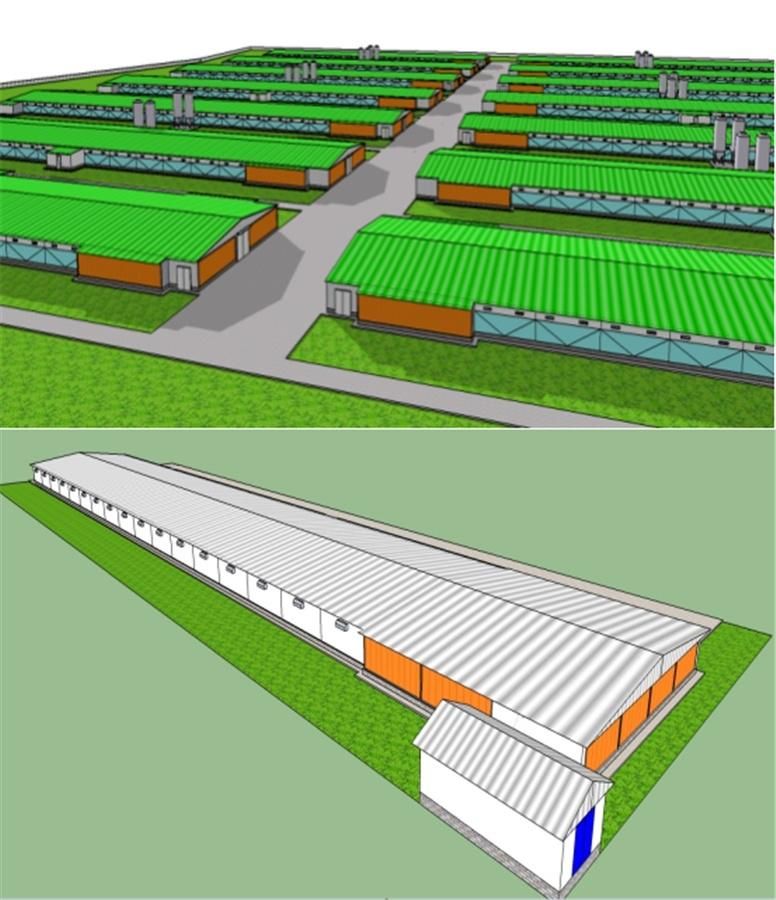 Prefab Poultry Farm House and Automatic Poultry Equipment for Broiler Chicken