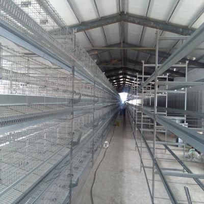 Strong and Durable Chicken Cage