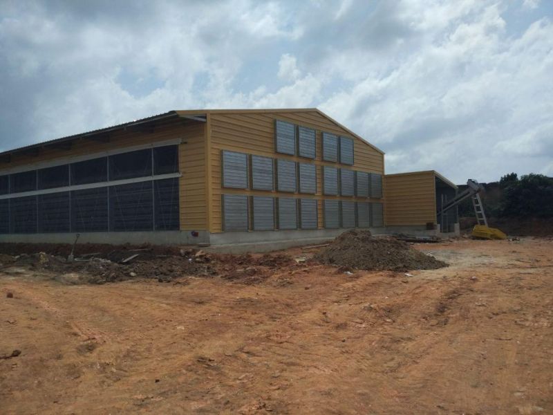 Galvanized Feed Silo for Layer Farm