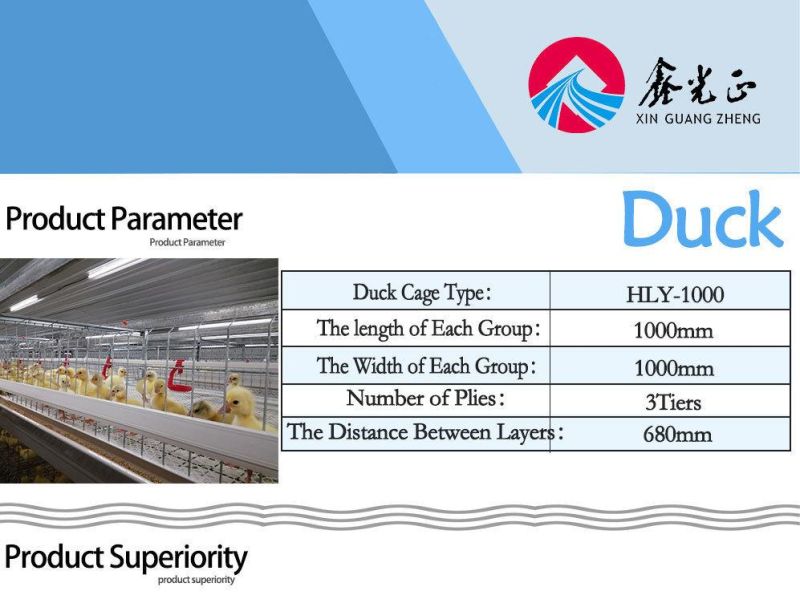 Long Span Large Output Full-Automatic Steel Duck Shed with Equipment