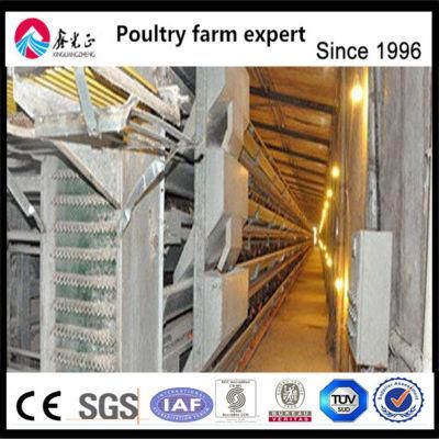 Best Quality Chicken Cage Layer Cage System in Good Price