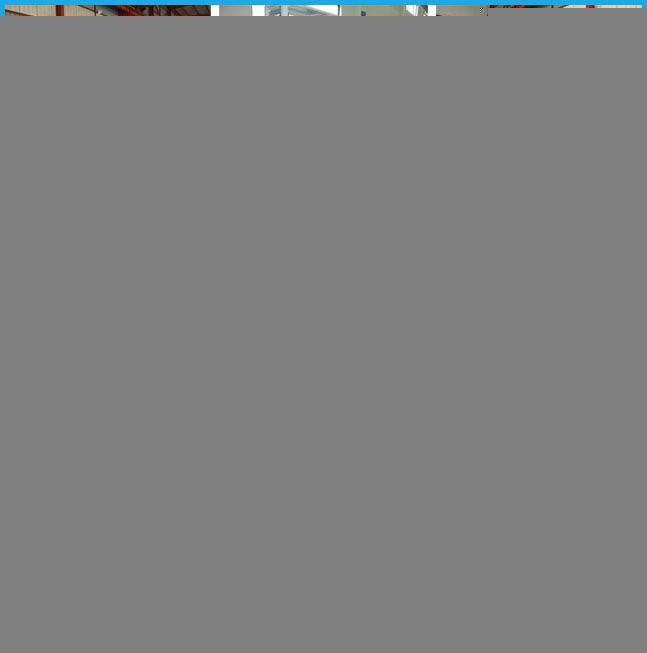 Ring Die Small Catfish Feed Pellet Making Machine