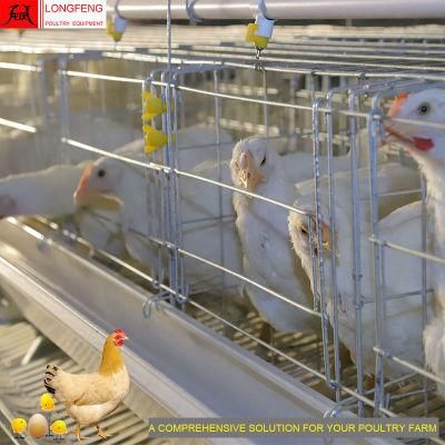 Most Advanced Technology, Low Egg Broken Rate Feeding Equipment Poultry Farm Cage