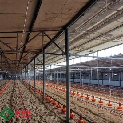 Full Package 100m X 10m Broiler Chickens Modern Poultry Farms