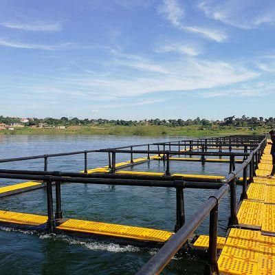 Square Floating Fish Cage with HDPE Bracket in Africa